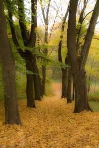 2013-10-20 - 004-1