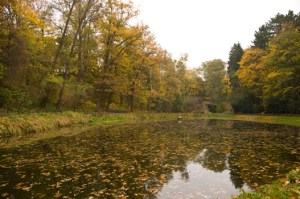 2013-10-20 - 006-1