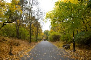 2013-10-20 - 012-1