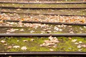 2013-10-20 - 019-1