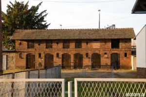 DSC_5405 kopia