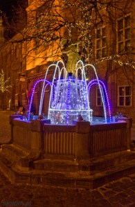 2014-01-25 TORUŃ - 018 kopia