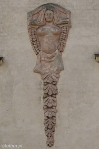 DSC_7250 kopia