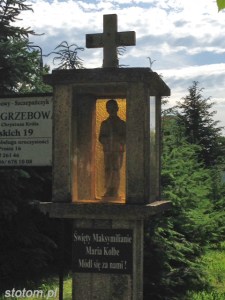zdjęcie 5 kopia