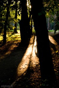 2014-10-03 - 014 - TORUŃ kopia