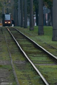 2014-10-03 - 015 - TORUŃ kopia