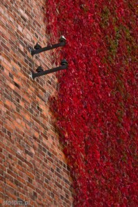 2014-10-03 - 017 - TORUŃ kopia