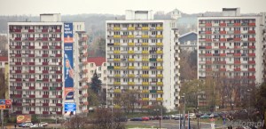TORUŃ 26-10-2013 - 031 kopia