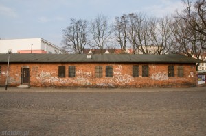 DSC_6363