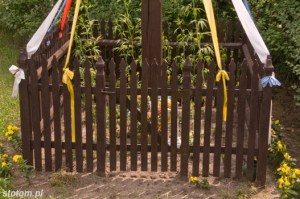 Pędzewo | krzyż | od północnego-zachodu | stan na 2015-07-05