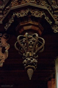 DSC_7441 kopia