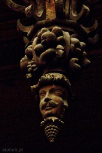DSC_7442 kopia