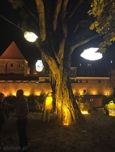 IMG_5625 kopia