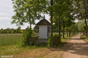 Sierpc | kapliczka Matki Boskiej Łąkowskiej | od wschodu | stan na 2015-05-31