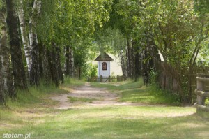 Sierpc | kapliczka Matki Boskiej Łąkowskiej | od północy | stan na 2015-05-31