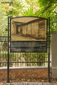 DSC_7884 kopia