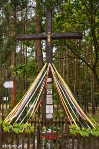 Górsk | krzyż | widok ogólny | od północnego-wschodu | stan na 2015-07-05