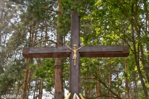Górsk | krzyż | fragment | od północnego-wschodu | stan na 2015-07-05