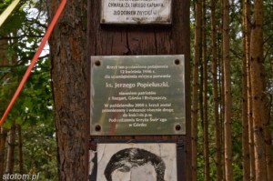 Górsk | krzyż | fragment | od północnego-wschodu | stan na 2015-07-05