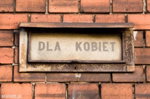 DSC_8430 kopia