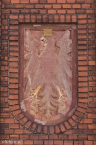 DSC_8445 kopia