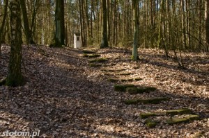 Przeczno | kapliczka św. Rozalii i św. Rocha| widok ogólny | od północy | stan na 2016-03-31