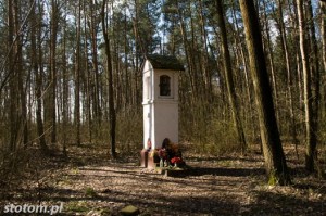 Przeczno | kapliczka św. Rozalii i św. Rocha | widok ogólny | od północy | stan na 2016-03-31