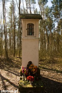 Przeczno | kapliczka św. Rozalii i św. Rocha | widok ogólny | od północy | stan na 2016-03-31