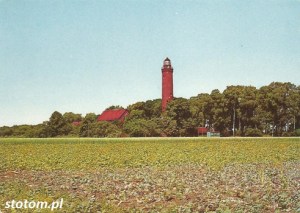 015 - GĄSKI