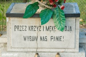 Dobrzejewice | krzyż | fragment | od południowego-zachodu | stan na 2016-09-09