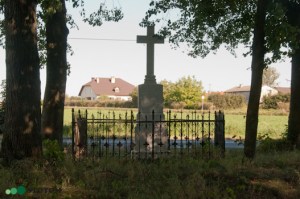 Drużyny | krzyż | widok ogólny | od zachodu | stan na 2016-09-15