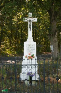 Drużyny | krzyż | widok ogólny | od wschodu | stan na 2016-09-15