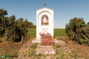 Kruszynki | kapliczka Matki Boskiej | widok ogólny | od południa | stan na 2016-09-15