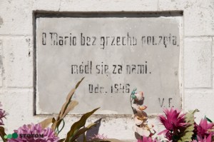 Kruszynki | kapliczka Matki Boskiej | fragment | od południa | stan na 2016-09-15