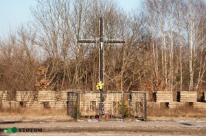 Brzozówka | krzyż | widok ogólny | od południowego-zachodu | stan na 2017-02-11