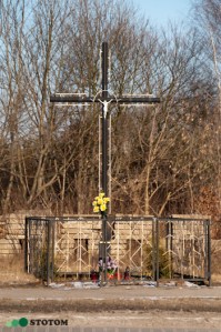 Brzozówka | krzyż | widok ogólny | od południowego-zachodu | stan na 2017-02-11