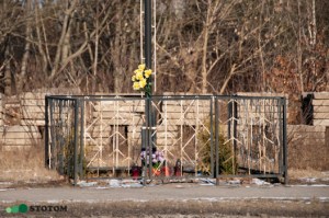 Brzozówka | krzyż | fragment | od południowego-zachodu | stan na 2017-02-11